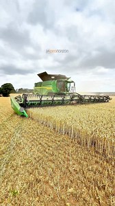 Here is Will in the John Deere X9 1100 with the JD 45ft draper header on working in this field of wheat with C W Scholey Farming #wheatharvest #johndeerex9 #harvest2025 | Pro Horizon Farming Content