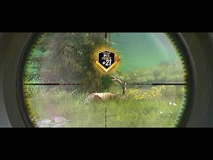 🔥 Hunting Clash Gameplay | Realistic Hunting Experience | Epic Animal Hunt 2025 🎯