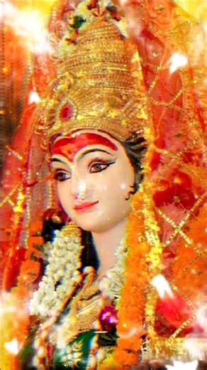 🙏🚩#trustonallah 🌿🙏🚩