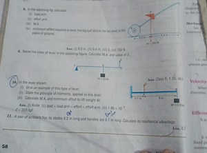 8. In the adjoining fig. calculate:(i) load arm(ii) effort ar... | Filo