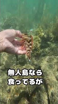 Fishing: How to Fish, How to Start Fishing
