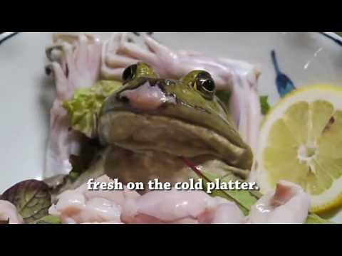 Japanese Live Frog / Fish Dish - Straight from Japan, Live Dishes