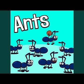 Ants