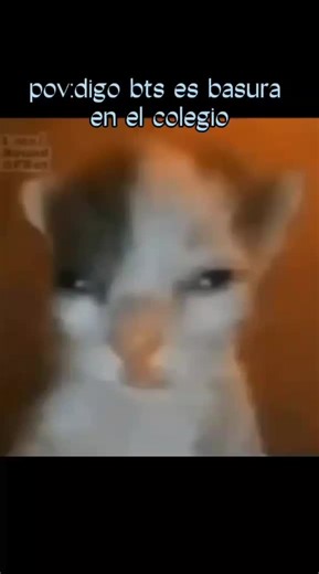 Esdras Castellón on TikTok