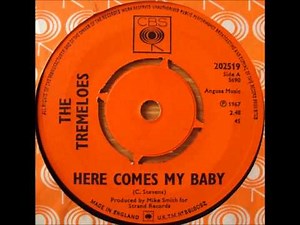 The Tremeloes Here comes my baby. 1967.