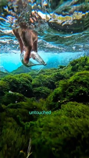 Is this the purest water on Earth // Purest water