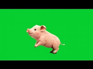 Cute Baby Pig Cartoon Running – Green Screen | AI Generated