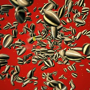 52K views · 351 reactions | Renovamos nuestra imagen y te presentamos a nuestra familia Pipas, ¿con cuál de todos te sentís identificado? Mismo sabor de siempre. Abrí, pelá y disfrutá #PipasSiemprePipas | Pipas | Facebook