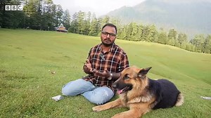 17K views · 849 reactions | 'મેં ભગવાનને પ્રાર્થના કરી કે જો મારું શ્વાન સારું થઈ જશે તો હજાર જાનવરની સુરક્ષા કરીશ' શેરીનાં કૂતરાં માટે ભોજનની એવી સગવડ કરી કે તમે પણ કહેશો વાહ... | BBC News Gujarati | Facebook