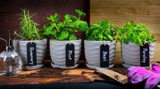 Old curtain rods are the key to creating the cutest indoor herb garden