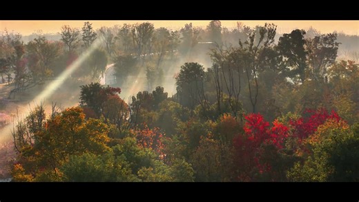 In 2025, 30 livelihood initiatives are enhancing daily life in #Xinzhan, #Hefei, building a stronger sense of community and well-being for residents. #XinzhanLifestyle #Livelihood | Xinzhan, Hefei