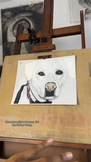 From black & white to color. I love a challenge. This was very fun to create. Website link in bio! #art #pencilartist #pasteldrawing