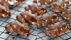 Chocolate-Covered Frogs