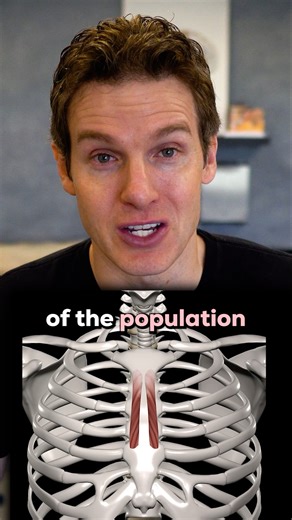 The Muscle Only 5-8% of People Have 👀 Ever heard of the rectus sternalis? This rare chest muscle is found in less than 10% of the population—and we've only seen it ONCE in all our years in the cadaver lab! Here's what makes it so interesting: 🔹 It's a "straight muscle on the sternum" that most bodies simply don't have 🔹 It may have helped with chest stabilization or breathing assistance 🔹 As humans became upright walkers, our sternums fused and this muscle became less useful 🔹 Four-legged a