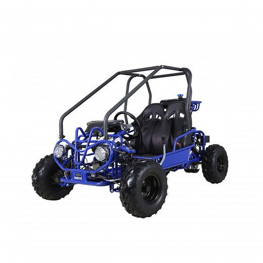 TaoTao GK110 Kids Gas Go Kart Dune Buggy, 110cc