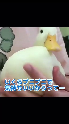 【アフレコ】お尻を揉まれるアヒルさん【ディズニー声真似】