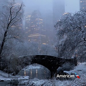 3.6K reactions · 483 shares | Fly one way to New York City from $99* this winter and explore more of the U.S. | American Airlines | Facebook