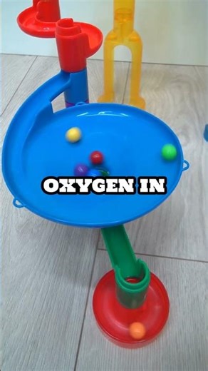 Octopus Secrets: 3 Hearts & Alien Blood Explained! 🐙💙