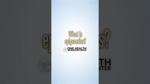 What is Epigenetics? | One Health Microbiome Center #epigenetics #biology | One Health Microbiome Center at Penn State