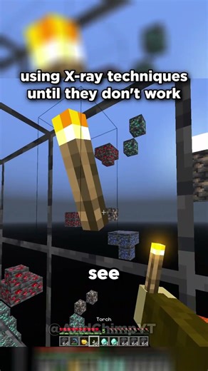 Minecraft X-ray Technique Moment 😭