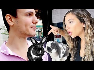 Confronting BINI the Bunny