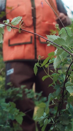 Dan’s Hunting Gear is built for the briars, the fields, and every full day in between. Handmade in the USA to move with you, last with you, and never slow you down. | Dan's Hunting Gear