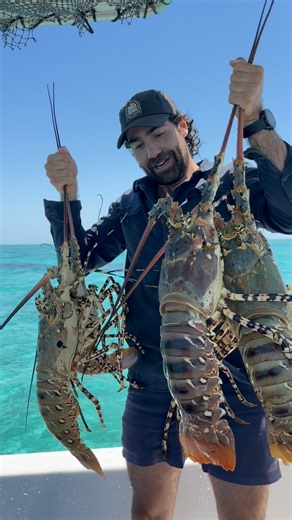 🦞 👀 #back2basics | Back 2 Basics Adventures