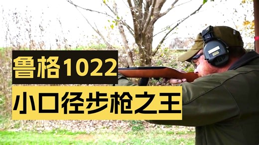 鲁格10/22半自动步枪，威力小被认为是“刮痧神器”，太小看它了