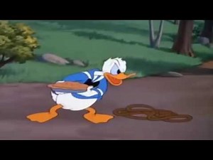 donald duck in mathmagic land
