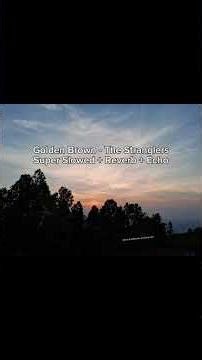 Golden Brown - The Stranglers | Super Slowed + Reverb + Echo #music #musicedit #trending #trend