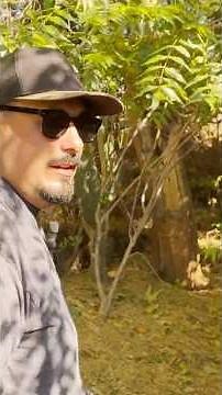 Inside an Incredible Desert Permaculture Oasis