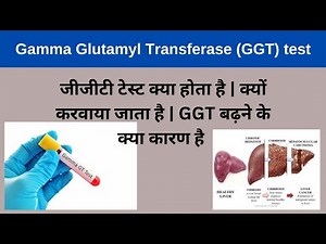 GGT test in hindi | Normal Range | Causes of High gamma glutamyl transferase test |gamma test