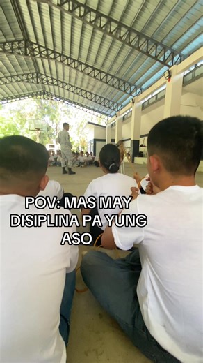 Understanding Discipline in Pet Training