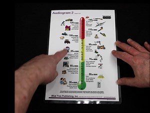 Daily Noise Chart, Audiologist, Common Sounds and Levels (A4 Size Set)