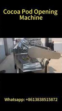 👍🔥Automatic Cocoa Pod Opening Machine | From Whole Cocoa Pods to Beans in Seconds! Magic? ✨