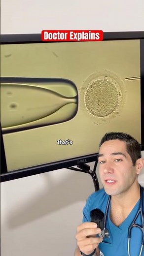 What’s under the microscope?