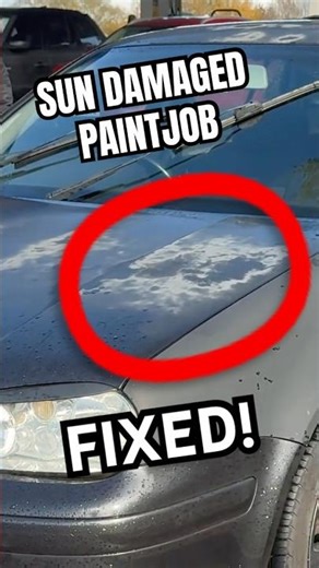 Time to work on the faded paintwork on the mk4 GTI 😅 #shorts