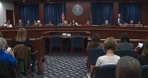Michigan Senate committee hears testimony on bills limiting ICE operations in state