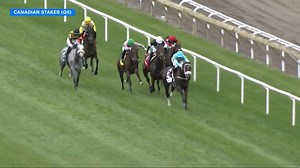 MOIRA ($7.90) returned to her winning form and absolutely crushed the field in the $200,000 Canadian Stakes (G2) at Woodbine. Kevin Attard had her ready to fire today! Rafael Hernandez was up in the saddle 🏆 | FanDuel Racing