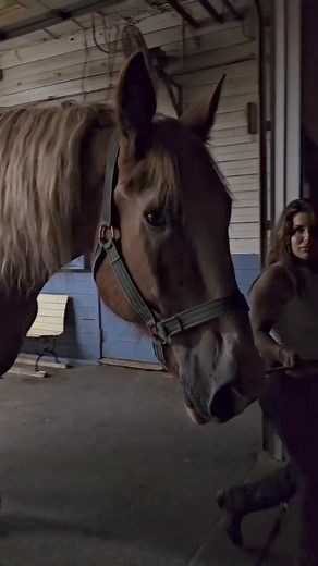 150K views · 3.2K reactions | I just have to share this here!!! When...