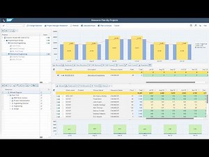 v7.Project Manager Workbench: Project Planning, Resoucce Plan in SAP by Noveco