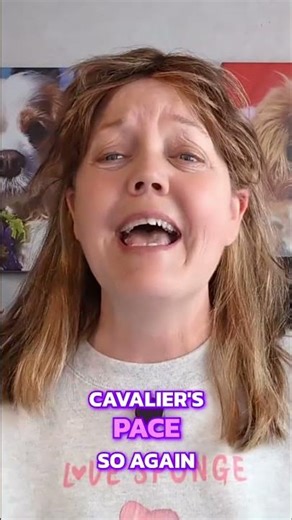 Stop the Nail Trim Struggle! 🐾 Trust & Foundation ✨