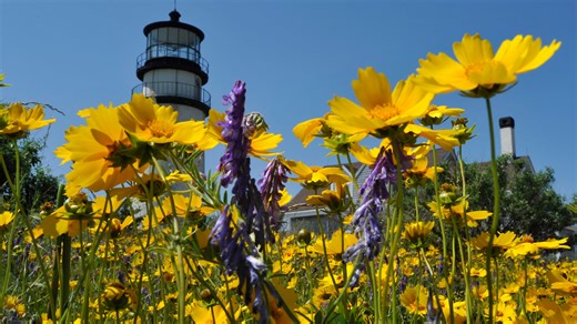 Cape Cod's oldest lighthouse dates back to the 1700s. Here's where it is