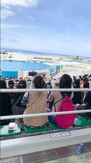 I went to see the Oki-chan Theater/dolphin show at Okinawa Churaumi Aquarium in Motobu Town, Kuni...