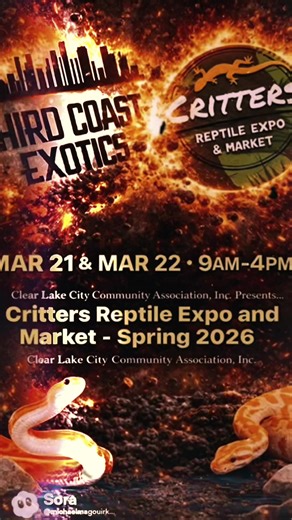 Exciting Events in Houston Next Weekend