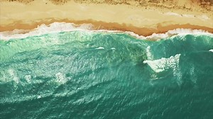 32K views · 259 reactions | UNICO 20˚87˚ comes to life on March 1st. | UNICO 20º87º Hotel Riviera Maya | Facebook