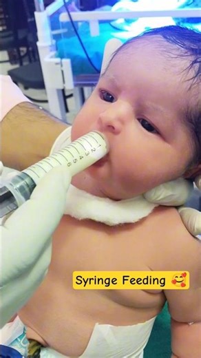 First feed try newborn baby 🍼💓