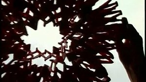 Baby Bach Late-2004 DVD