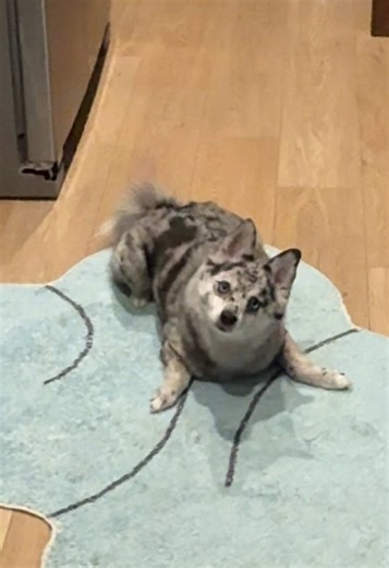 Stuckless on TikTok