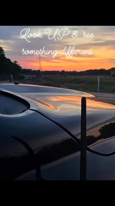 David Graham on Reels